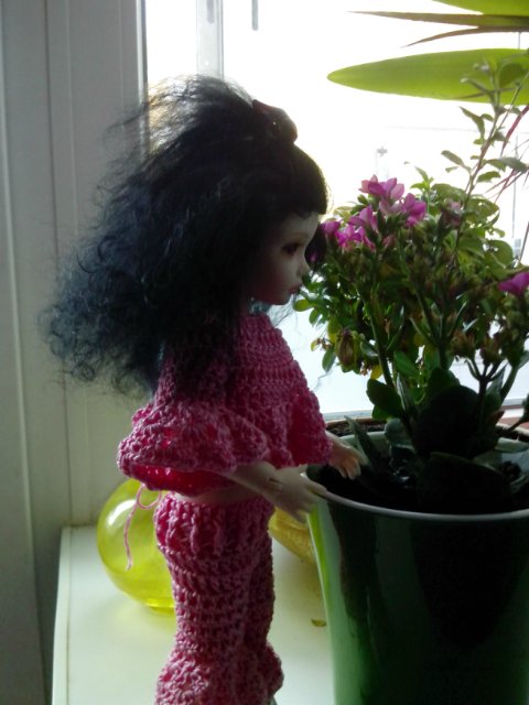 Элин дома — Куклы Iplehouse (Иплхаус): BJD (БЖД) (фото 6)