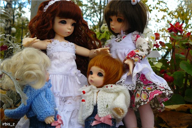 Вот так погуляли или Как у нас появилась кукла БЖД LittleFee Ante Elf