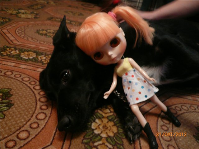 Хэллоуин. Вечеринка-ужастик