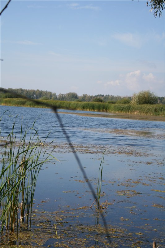 Девчонки Annette Himstedt или Химкомания наступила