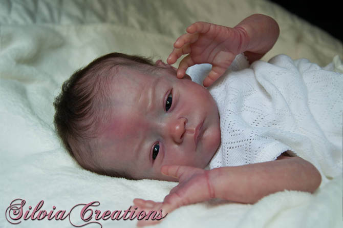 Новый молд Will от Натали Шолль