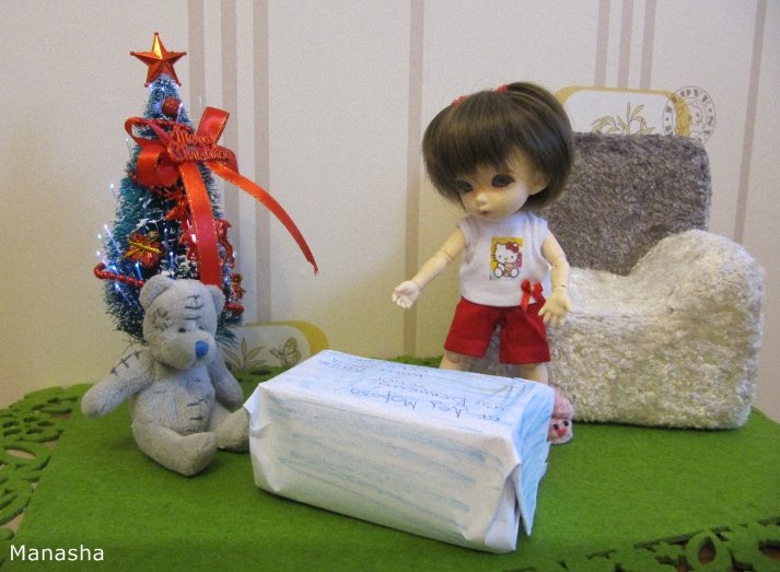 Посылка для Майки или есть ли Дед Мороз...pukiFee Ante Fairyland (фото 6)