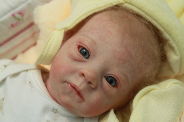 Фотоотчёт №1 с выставки кукол декабрь2014 от Элины Кудрявцевой | Бэйбики Фотоотчёт №1 с выставки кукол декабрь2014 от Элины Кудрявцевой