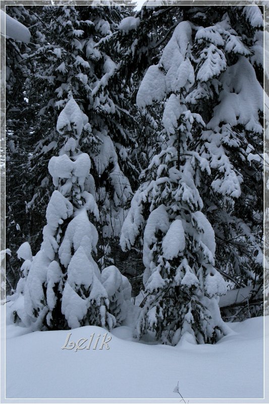 12 месяцев, или как Тамира за подснежниками ходила ) (фото 10)