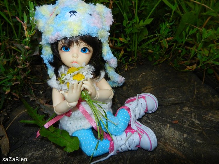 Варвара путешевственница (Литтлфи Анте)