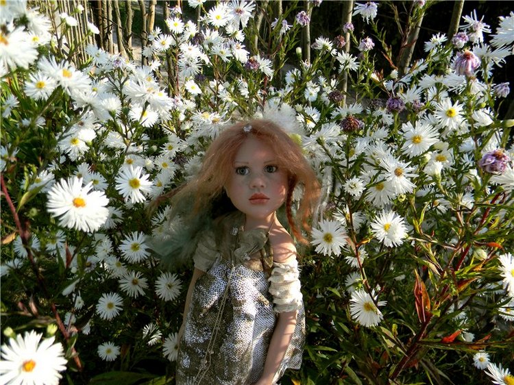 В сентябре пришло к нам лето! Мальва Zwergnase, мой рыжий эльфик