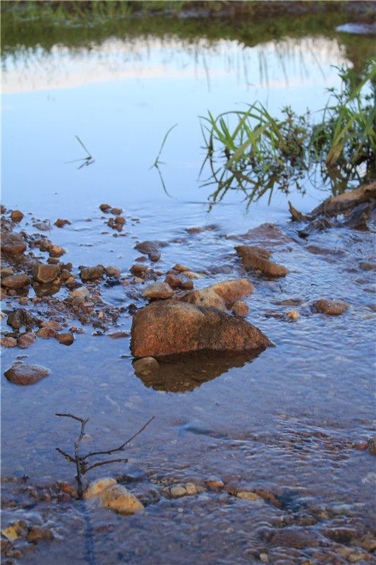 Прерванная дружба (продолжение). Наби спешит на помощь (фото 5)