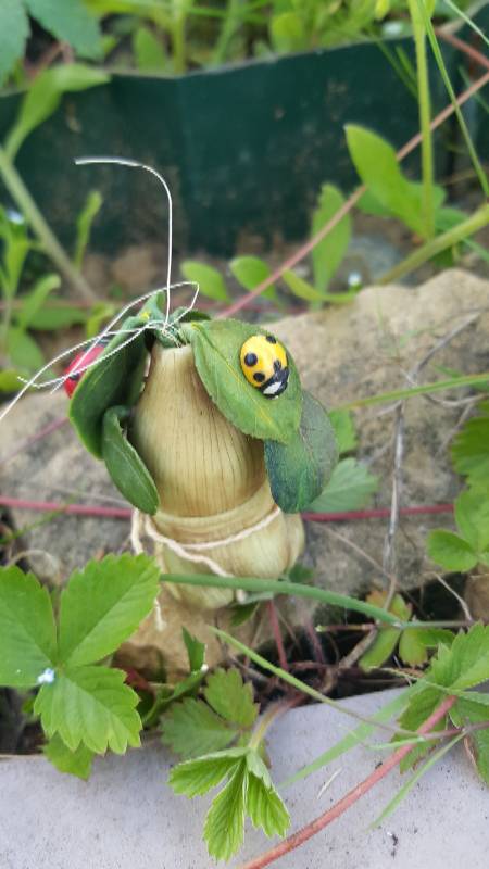 Катрина и волшебный лес-3