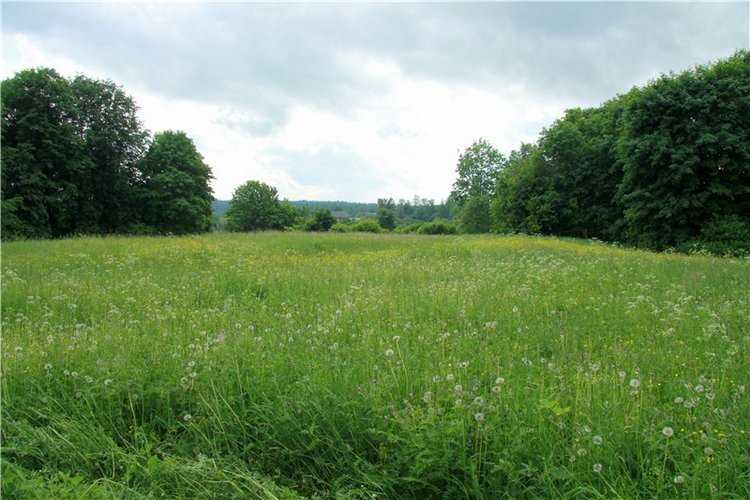 46-ой Пушкинский праздник поэзии в Берново. Часть первая