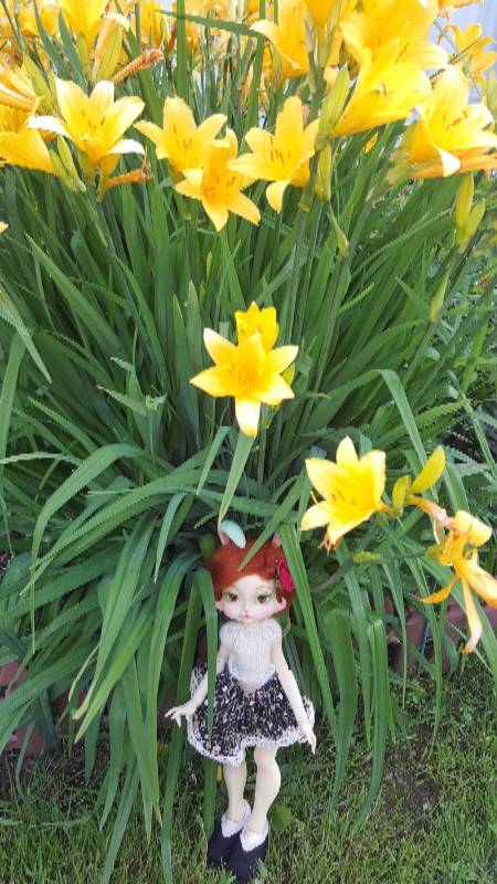 Василиса Морковкина — Куклы Lillycat (Лиликет) (фото 4)