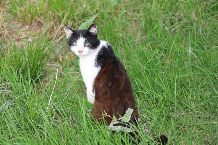 Те, кто нас любит и в домашнем халате, и без косметики, и растрепанными | Бэйбики Те, кто нас любит и в домашнем халате, и без косметики, и растрепанными