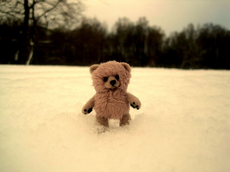 Мишкина зима! Авторский мишка Ольги Чернухо