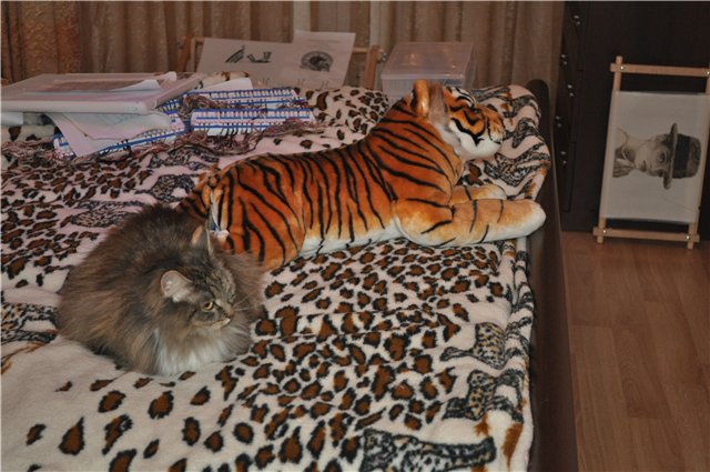 Моя Незнакомка — Вышивка крестиком