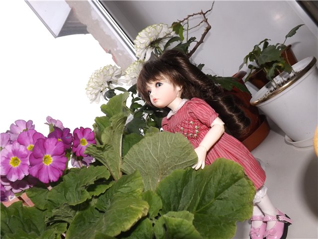 Красавица-Элин,девочка принцесса