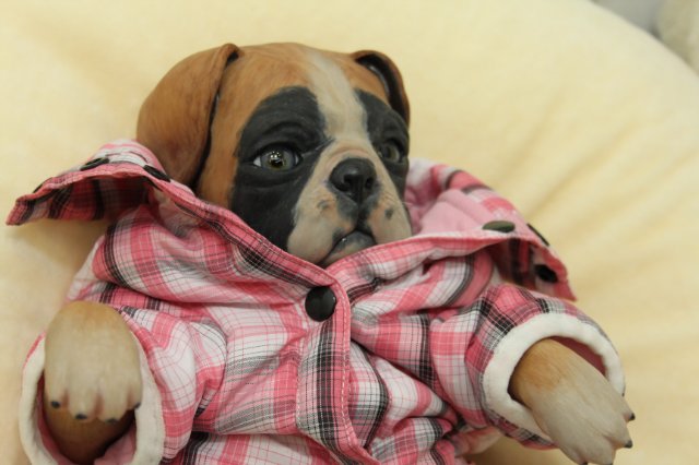 Московская международная выставка-ярмарка кукол и медведей Teddy «Moscow Fair 2013»: Наши Мастера часть 2 | Бэйбики Московская международная выставка-ярмарка кукол и медведей Teddy «Moscow Fair 2013»: Наши Мастера часть 2