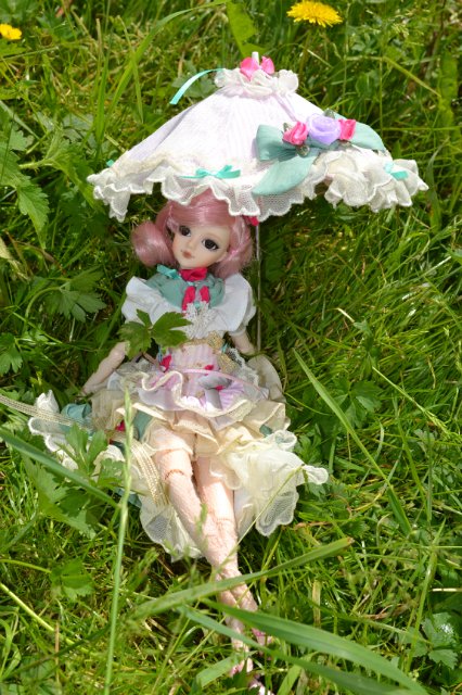 Девушка-пион: джеечка La Rue de Rivoli (J-doll)