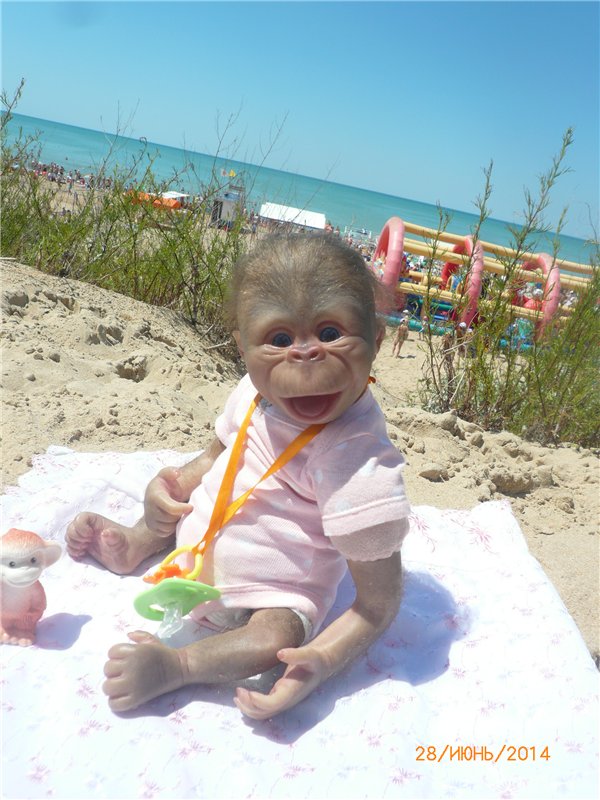 Анфисочка! Кукла - реборн - обезьянка Светланы Преображенской. Часть первая