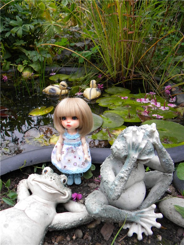 Пионка прощается с летом — Куклы Fairyland (ФэйриЛэнд): BJD (БЖД) (фото 3)