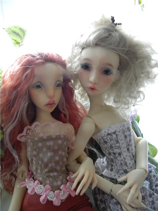 Теперь они вместе. Мои Лилликэтки Constantine и Ninon