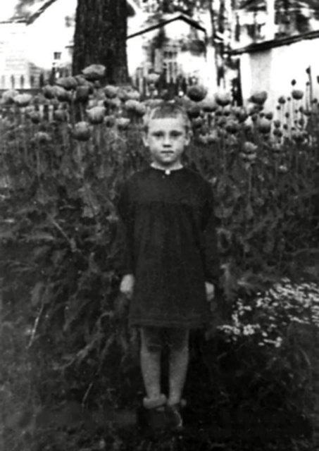 Прошу вернуть детство за вознаграждение или «… все взрослые сначала были детьми, только мало кто из них об этом помнит.»