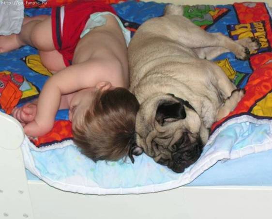 Кому нужна нянька — Болталка и разговоры обо всем: жизнь