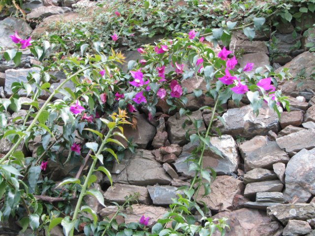 Моя Италия. Часть 2 - Леванто, Манарола