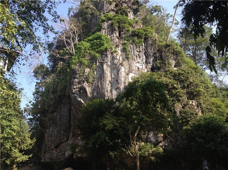 Светлая Галадриэль, или путешествие по Эльфийскому лесу | Бэйбики Светлая Галадриэль, или путешествие по Эльфийскому лесу (фото 2)