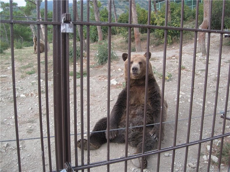 Галчонок и лето. Винтажна куколка СССР Галя