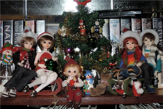 Итоги за год — Куклы и тела Obitsu (Обитсу): 1/6