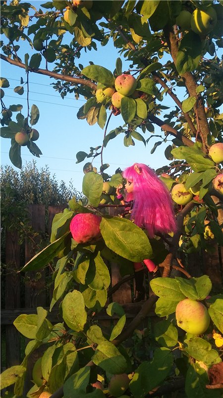 В гостях у бабушки ))) или яркое лето 2016 с девочками от Монстр Хай | Бэйбики В гостях у бабушки ))) или яркое лето 2016 с девочками от Монстр Хай