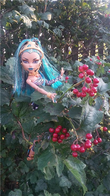 В гостях у бабушки ))) или яркое лето 2016 с девочками от Монстр Хай | Бэйбики В гостях у бабушки ))) или яркое лето 2016 с девочками от Монстр Хай