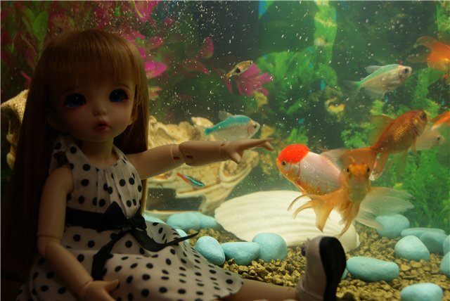 Девочка BJD Littlefee | Бэйбики Девочка BJD Littlefee — Куклы Fairyland (ФэйриЛэнд): BJD (БЖД)