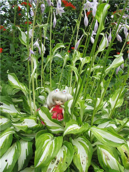 Дюймовочка. Мэгги в саду | Бэйбики Дюймовочка. Мэгги в саду — Куклы Fairyland (ФэйриЛэнд): BJD (БЖД)