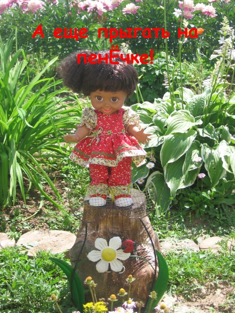 Как мои Фейсинки отдыхали