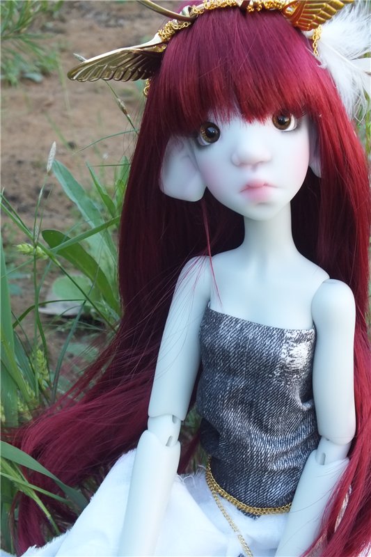 Тоби Принцесса-Воительница из Ётунхейма