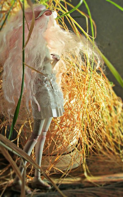 Шарнирные Куклы Варвянской Алины