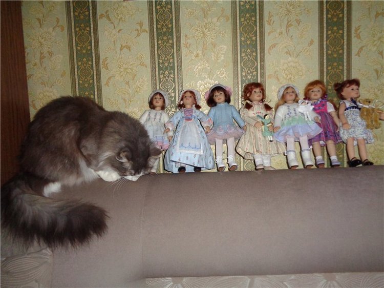 Я их посчитала... Коллекция виниловых кукол от Heidi Plusczok, часть 2