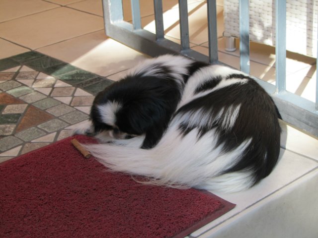 "Моя Италия". Часть 5 - Римини (фото 8)