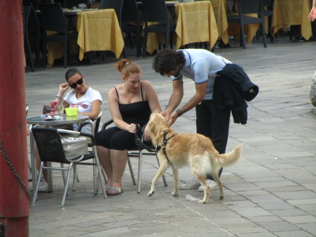 "Моя Италия". Часть 7 (заключительная) - Венеция