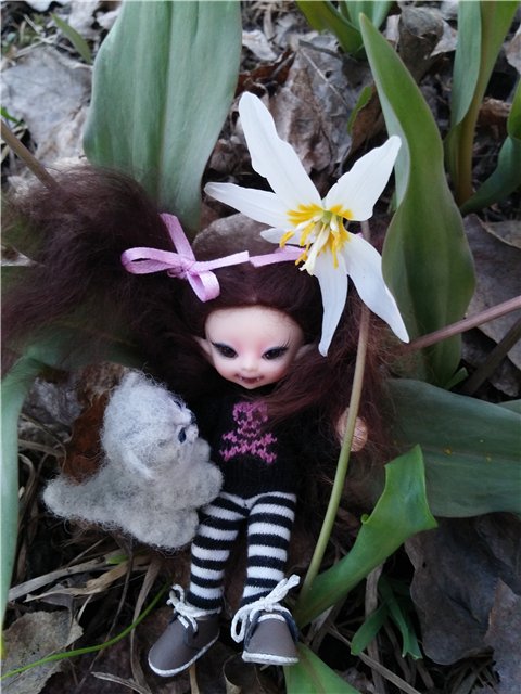 Поездка за подснежниками. Или просто Корппи | Бэйбики Поездка за подснежниками. Или просто Корппи (фото 3)