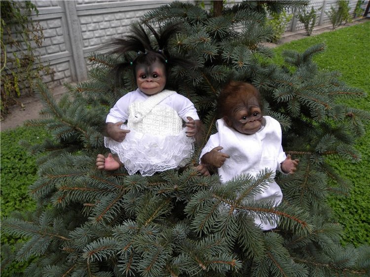 Необычное пополнение в моем доме (фото 4)