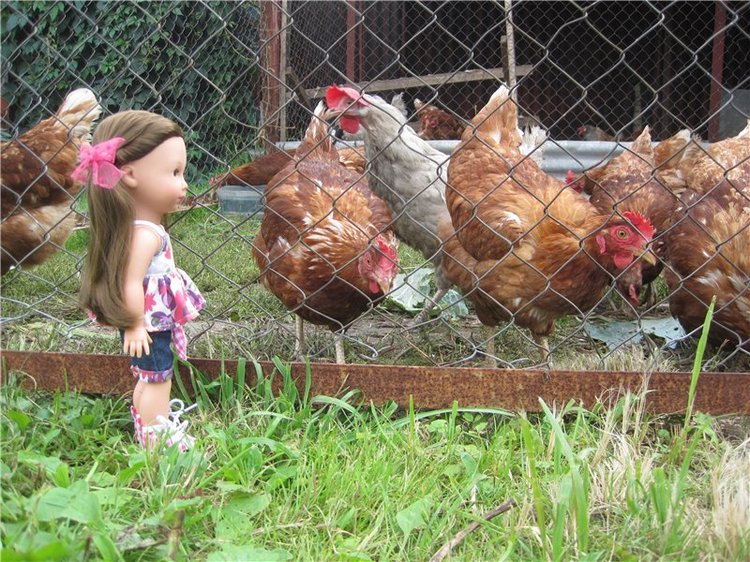 Сестрёнки. Куклы Готц Алиса и Оленька