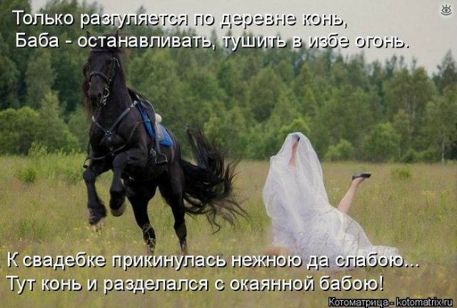 Просто добавь улыбку или пятничный девиз