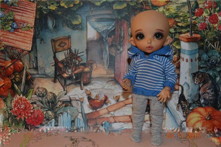 Такие чудные ПукиФи - наш новый член семьи (фото 3)