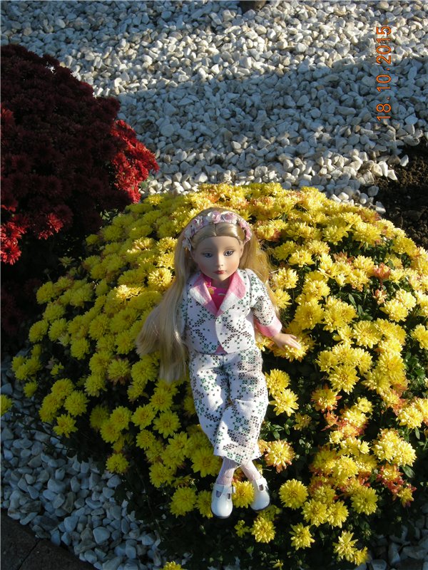 Первые прогулки Алисы — Фэшн