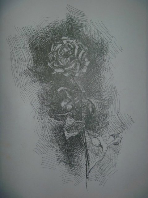 Живопись и рисунки — Другие хобби и увлечения: сад