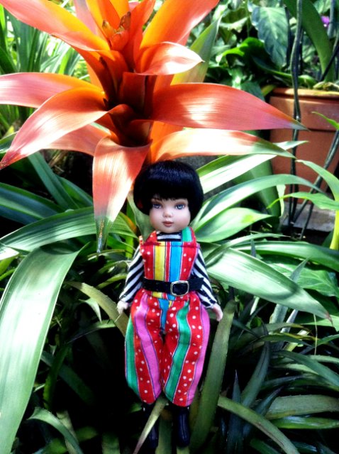 Прогулка по парку с этническими куколками Adora, Tonner, Oldenburg, Creedy