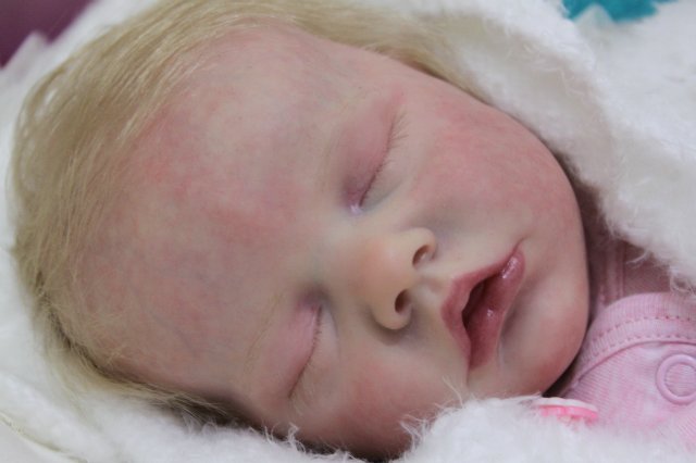 Х Московская международная выставка МишкаГрад 2016 (фото 2)