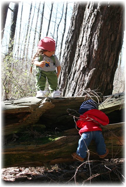 Небольшой поход Вихтелят на Ирдынские болота (фото 3)
