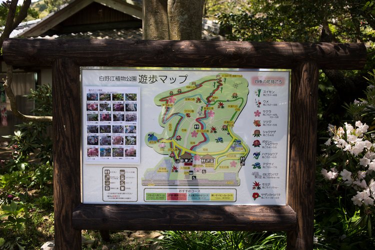 Япония моими глазами (часть 3. Китакюсю и Токио.) (фото 8)